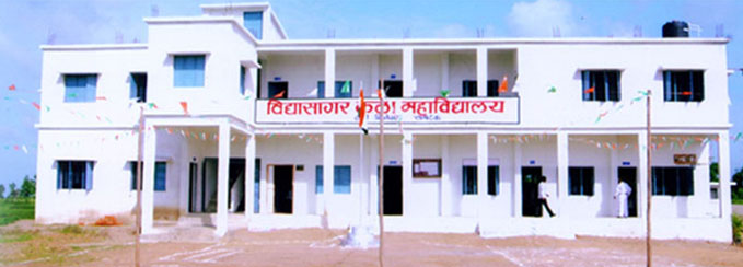 Vidyasagar Kala Mahavidyalaya, Nagpur Image