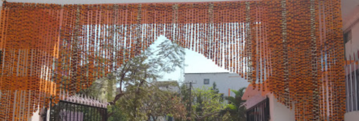Thakur Prasad Singh College, Patna Image