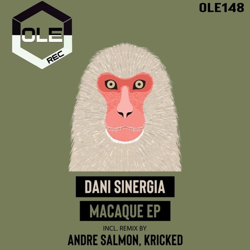 Dani Sinergia - Macague (Kricked & Andre Salmon Dub Mix)