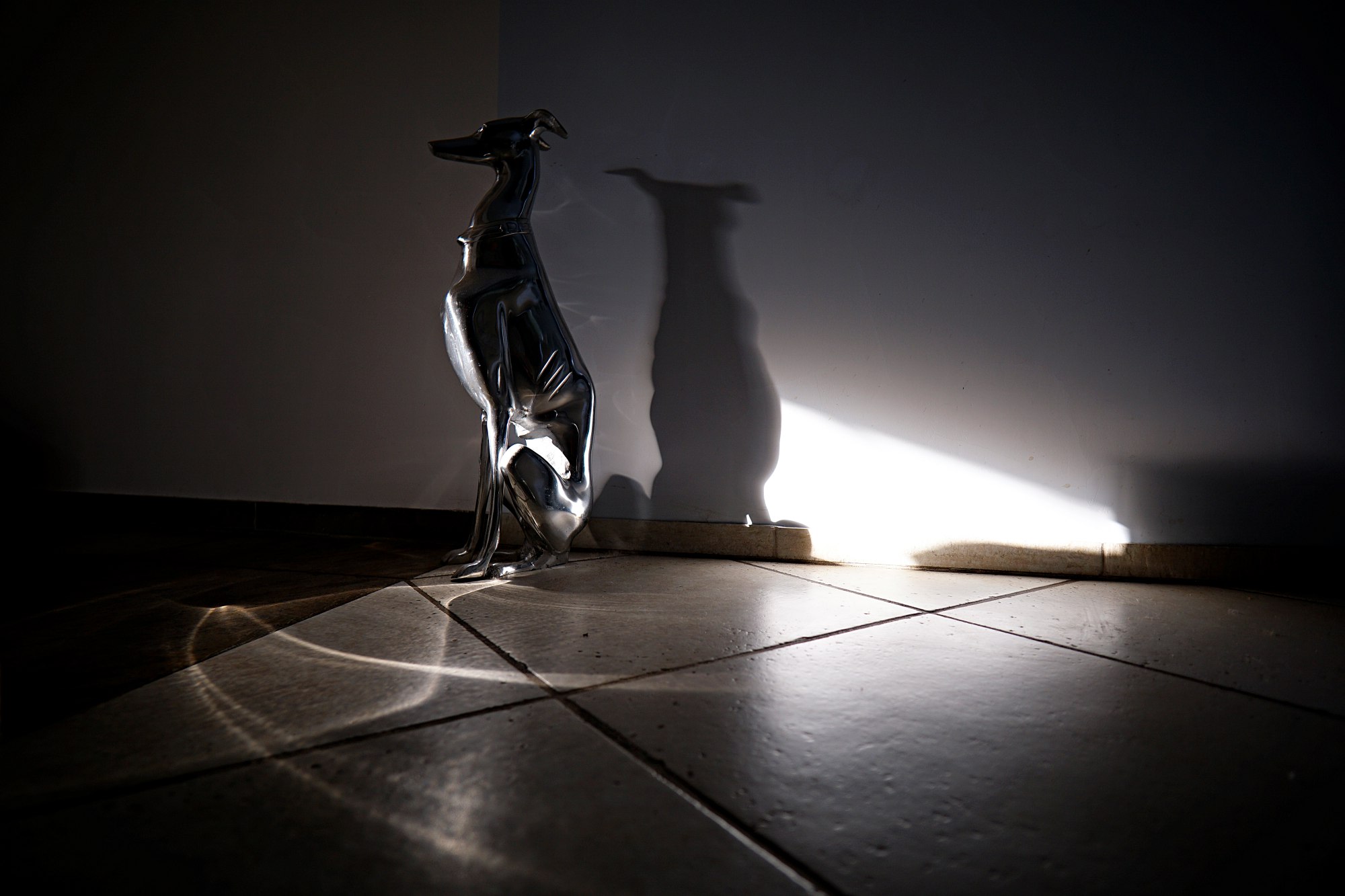 Samyang AF 12mm F2 E Dog Statue