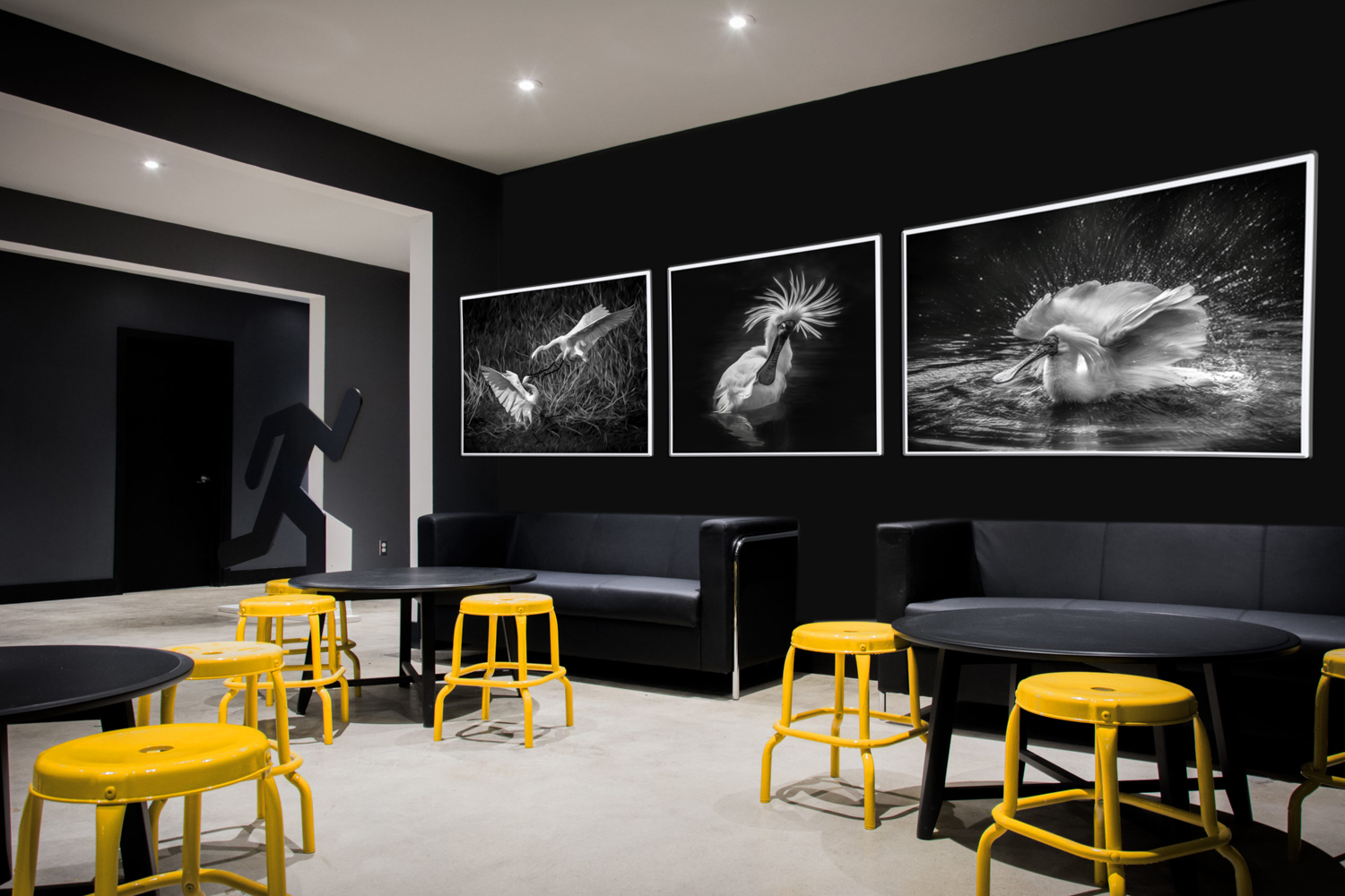 Choose By Decor