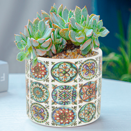 Maceta decorativa 10.5xØ11.5cm, cerámica