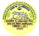 Government Pt. Jawahar Lal Nehru Arts and Science PG College, Bemetra