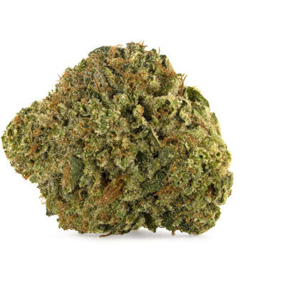 Smoker's Farm - Master Kush Ultra