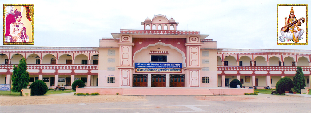 Shri Bhawani Niketan P.G. Boys College, Jaipur Image