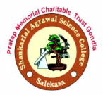 Shankarlal Agrawal Science College, Gondia