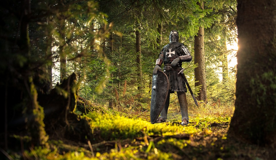 Knight in forest