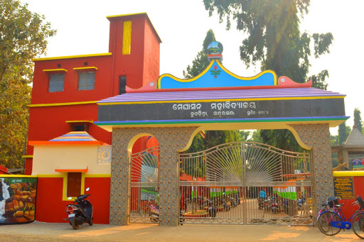 Meghasan College, Nudadiha Image