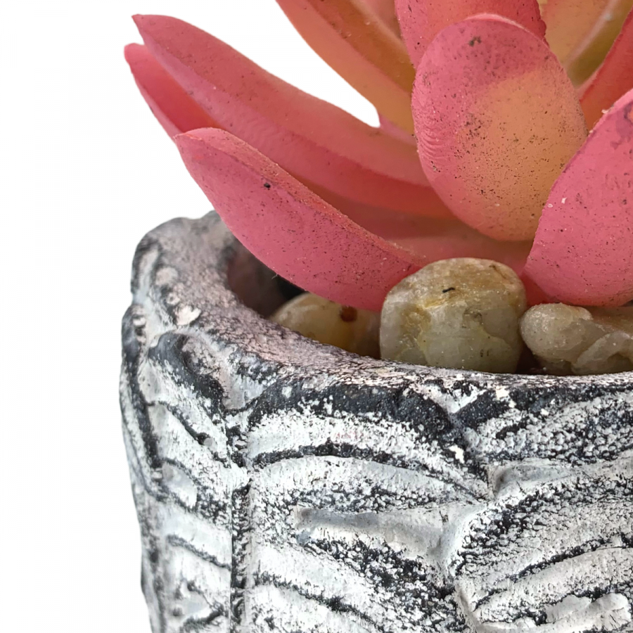 Suculenta artificial + maceta pachyphytum, rojo, 12cm