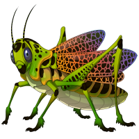 grasshopper2.png