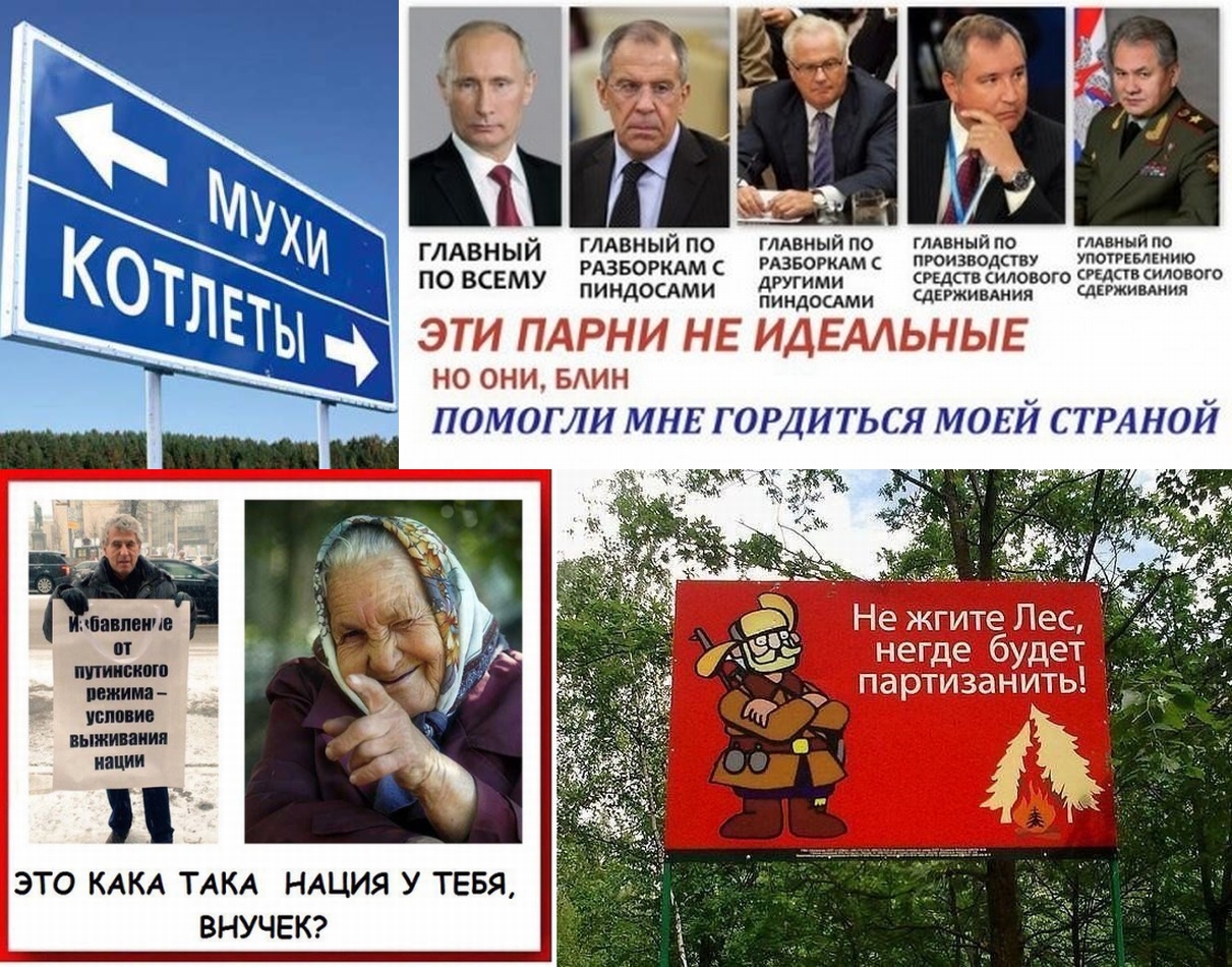 альфа стерх что такое. Смотреть фото альфа стерх что такое. Смотреть картинку альфа стерх что такое. Картинка про альфа стерх что такое. Фото альфа стерх что такое