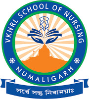 Vknrl School Of Nursing