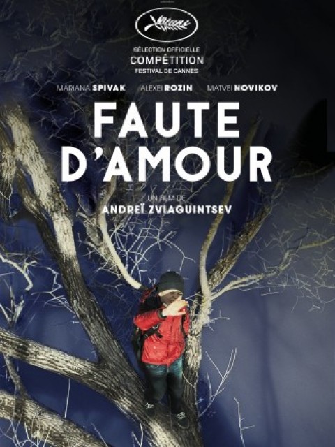 Fautedamourpostercannesok