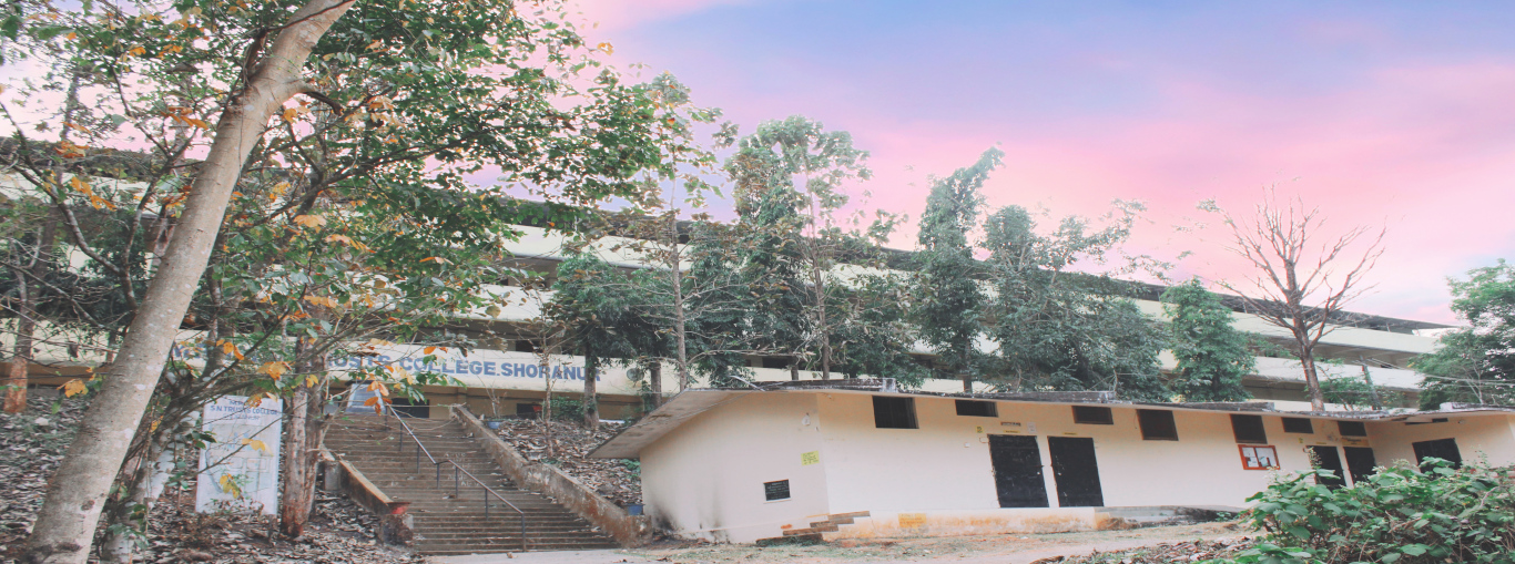 M.P.M.M.S.N Trusts College, Palakkad Image