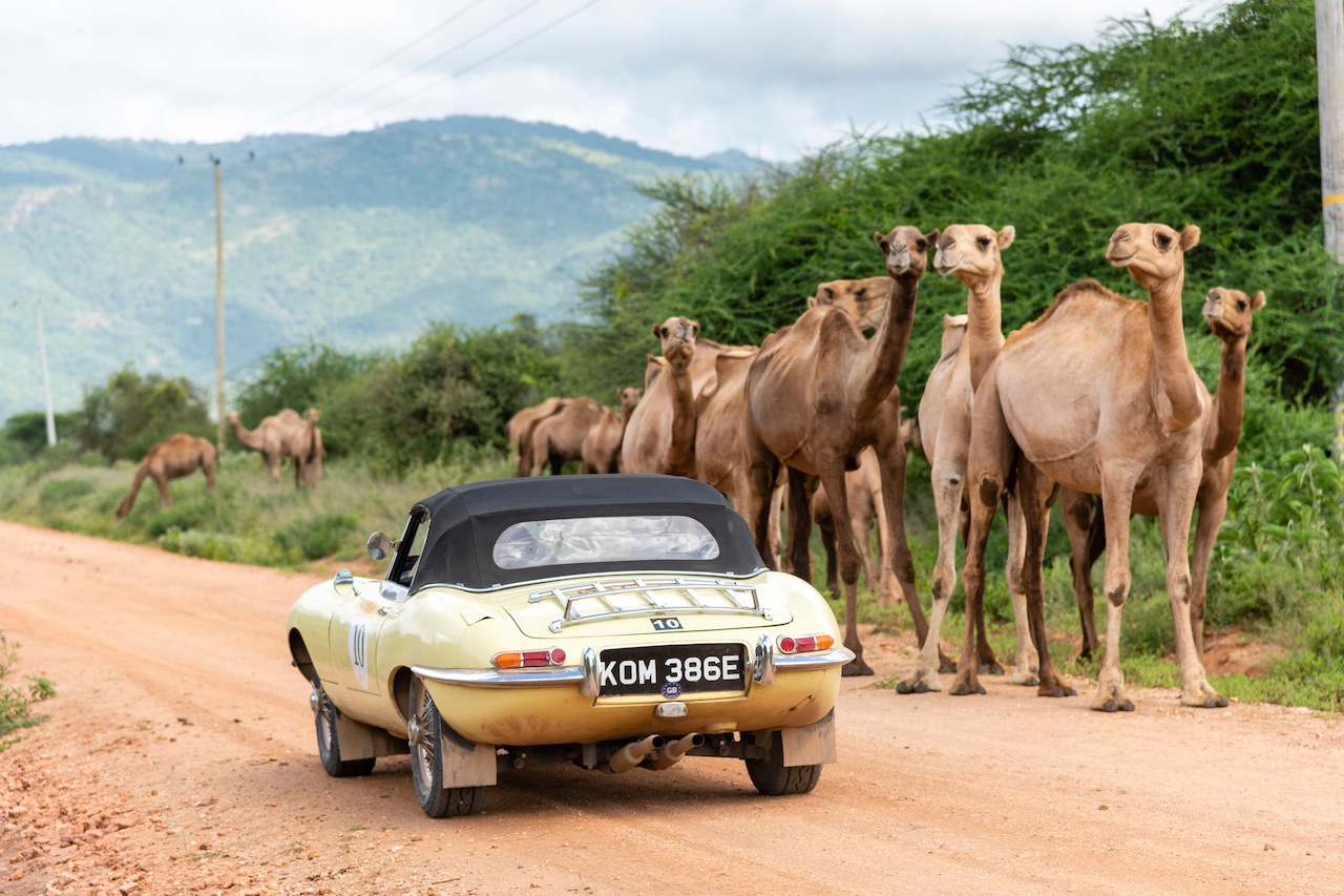 1927 Bentley takes top honours on epic East African adventure