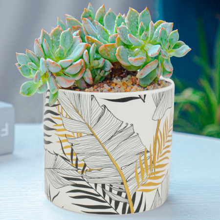Maceta decorativa 11.5xØ12.5cm, cerámica