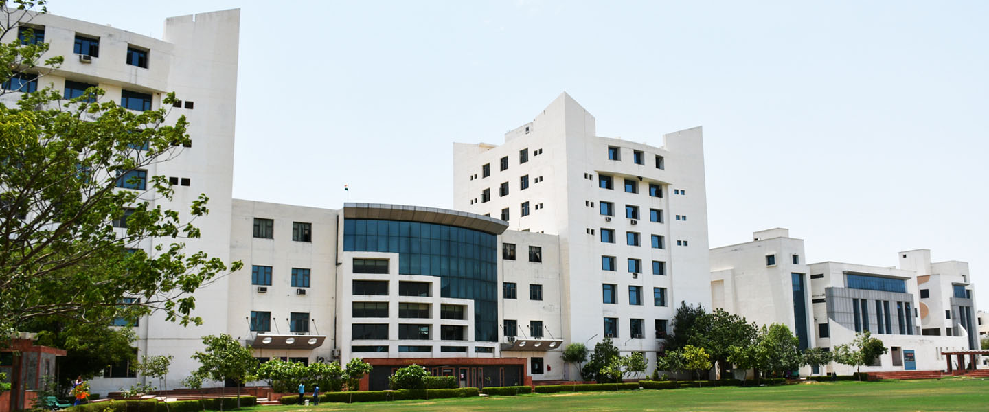 Suresh Gyan Vihar University Image