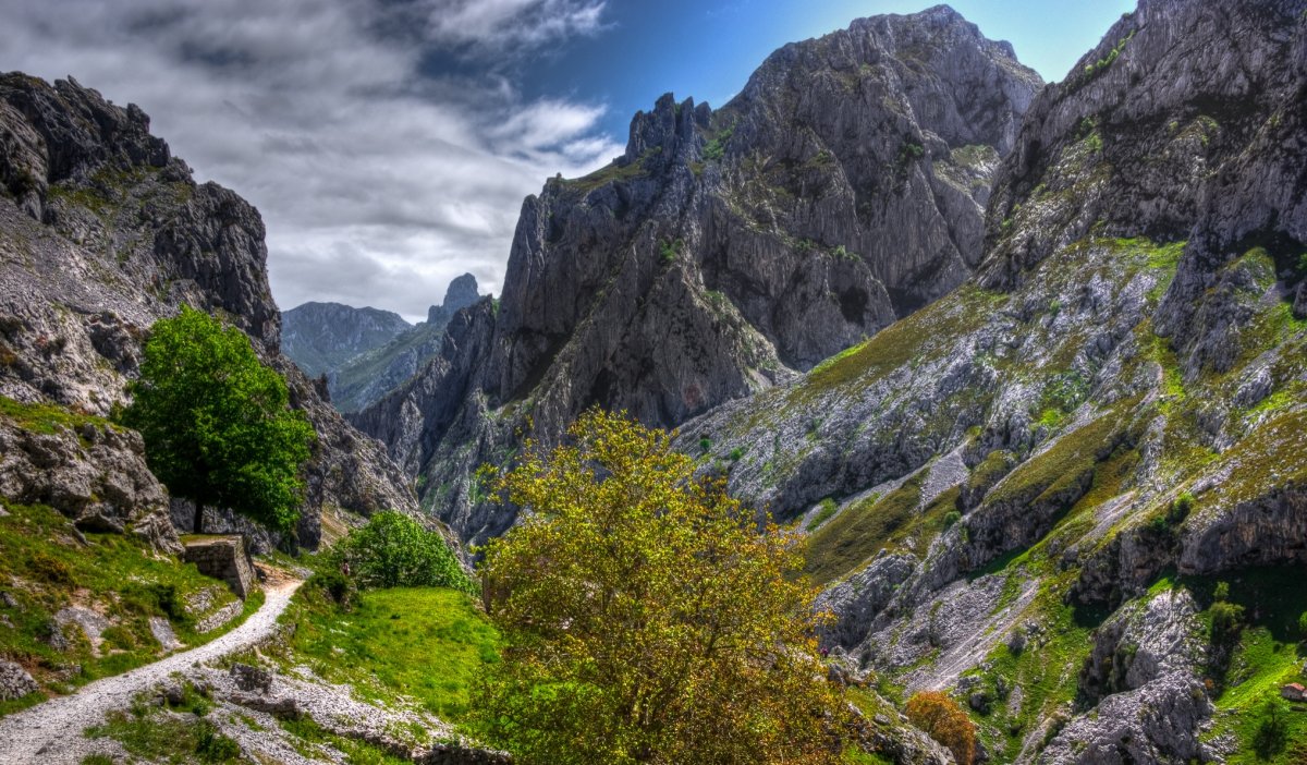mountain-trails
