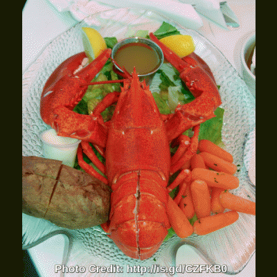 Lobster Slideshow
