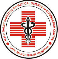 N. K. P. Salve Institute of Medical Sciences and Research Centre and Lata Mangeshkar Hospital, Nagpur