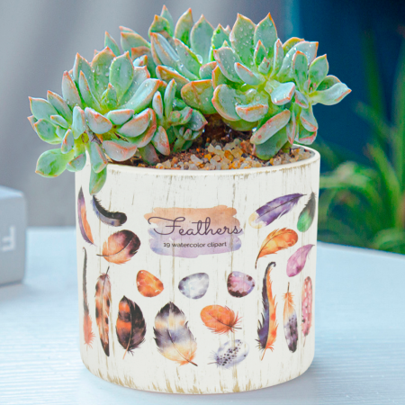 Maceta decorativa 11.5xØ12.5cm, cerámica