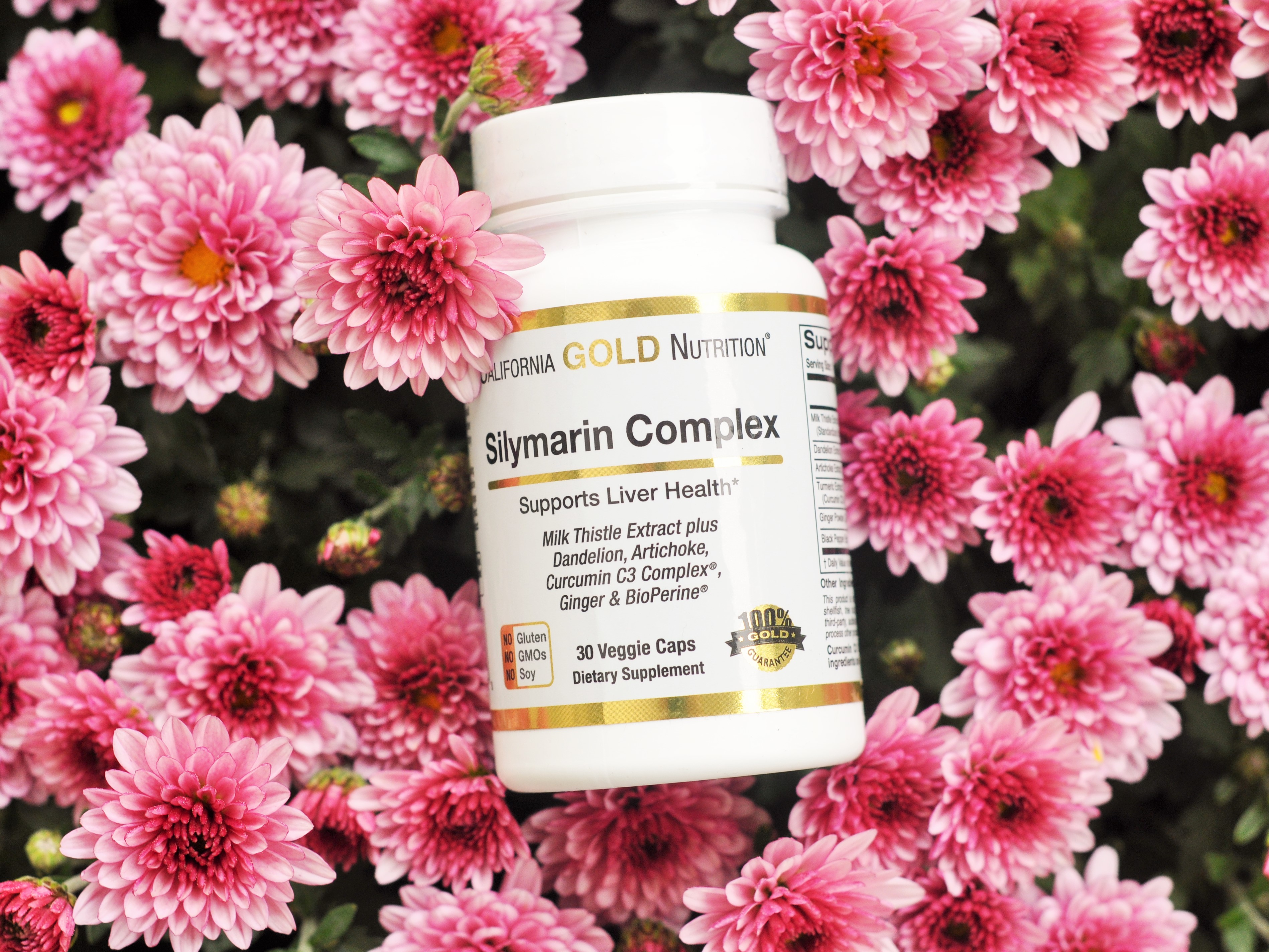 silymarin complex supports liver