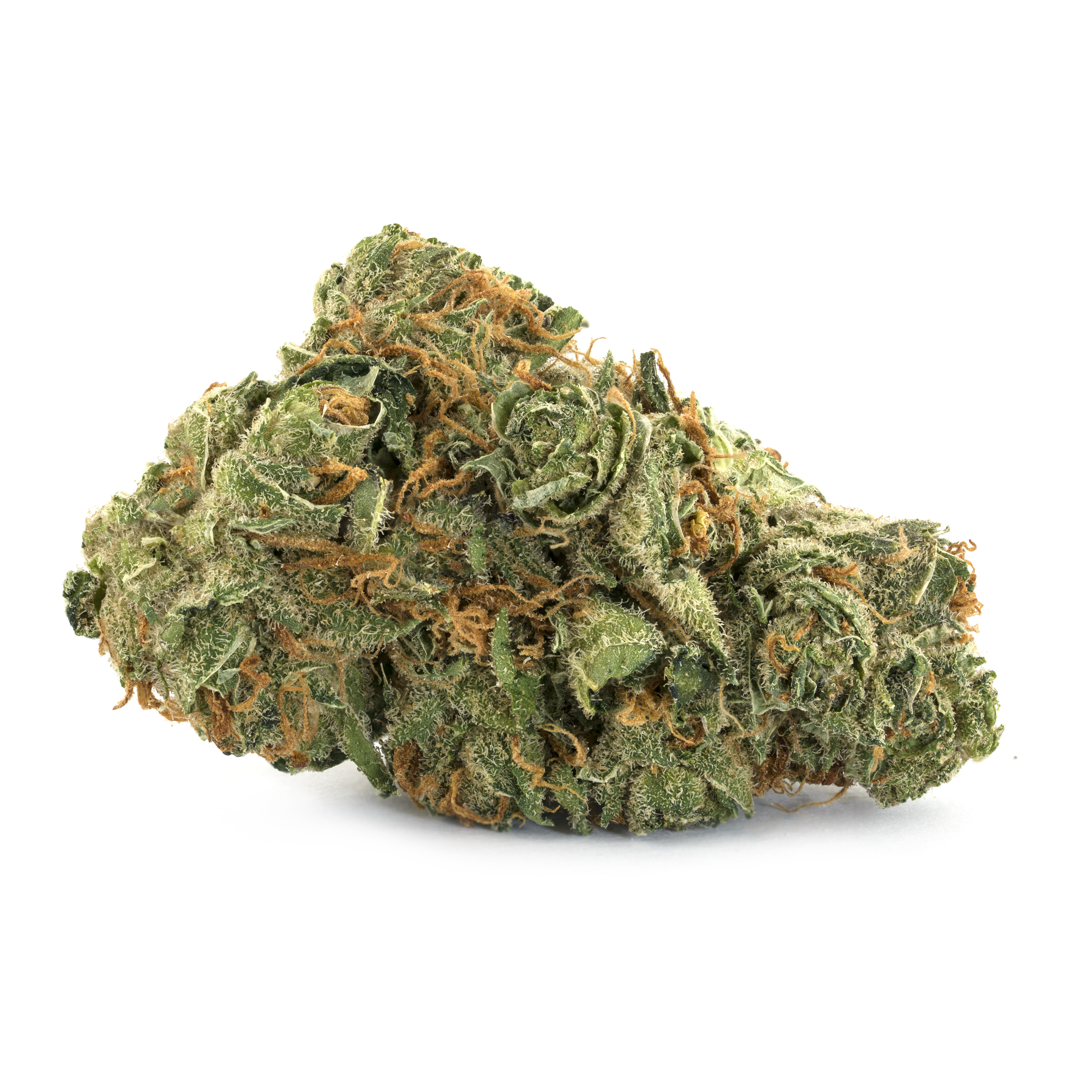 Grasslands Sativa