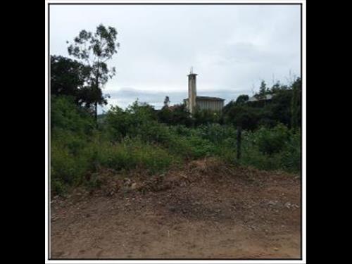 Terreno  -   -