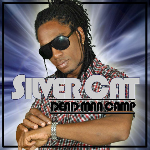 Silver Cat - Mr Lockeni