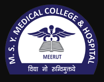 Meerut Nursing College