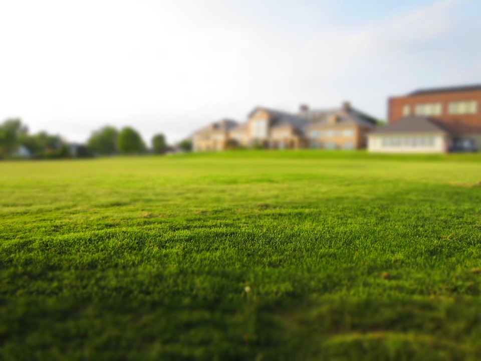 Estate with grass