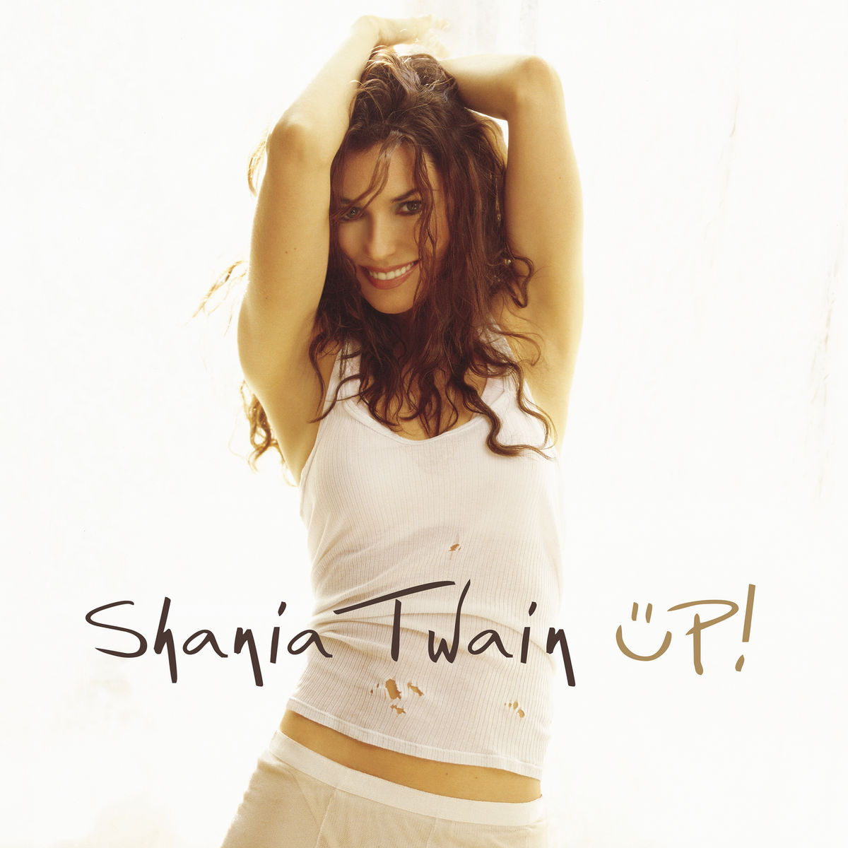 Shania Twain - I'm Not in The Mood(To Say No)!