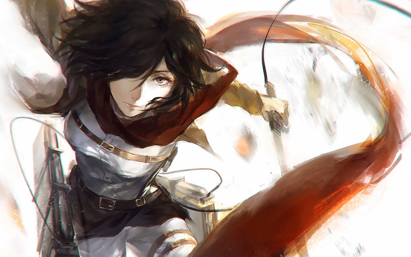 Wallpaper Attack On Titan 243 Shingeki no Kyojin, Mikasa Ackerman, anime girls, anime