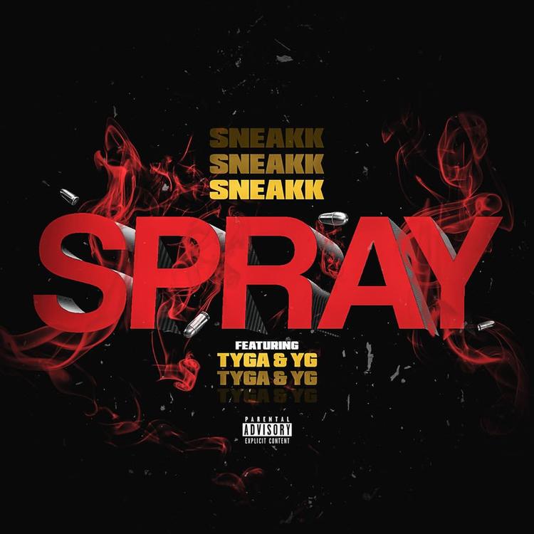 Sneakk - Spray