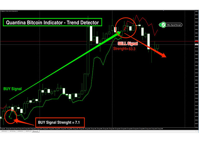 Bitcoin In Spanish