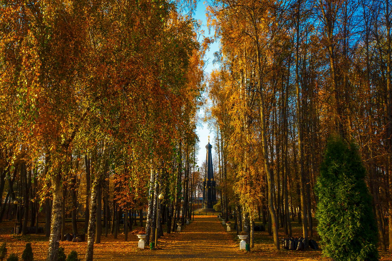 Осенний Смоленск Фото