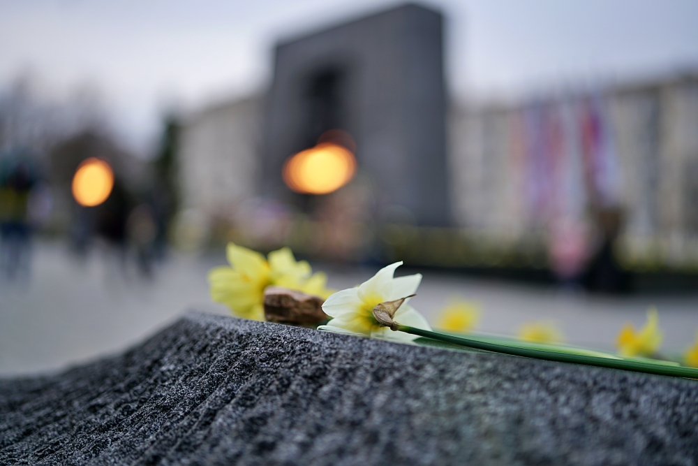 Sigma 35mm F1.2 DG DN Art, Sony a7R II, przysłona F1.2.
