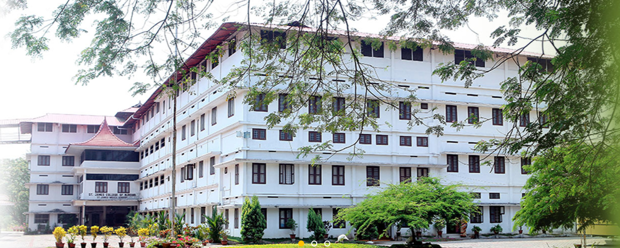 St. James College of Nursing, Thrissur Image