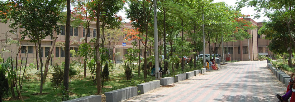 Km. Mayawati Government Girls P.G. College, Gautam Budh Nagar Image