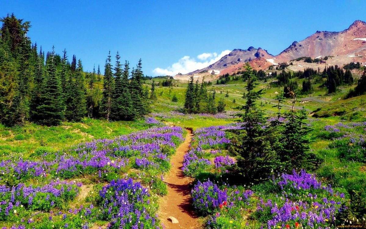 mountain-trails