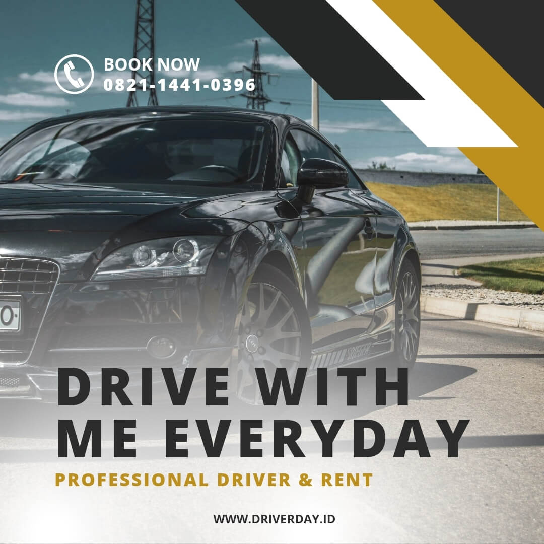 DriverDay