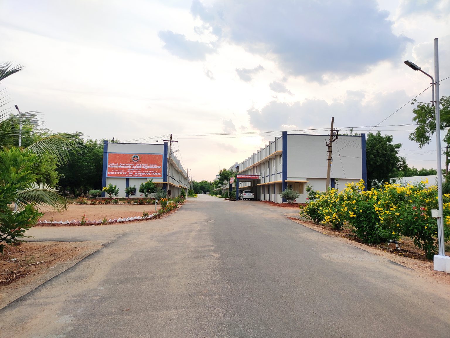Institute of Agriculture, Lalgudi Image