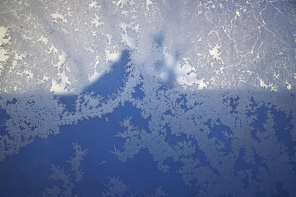 Sigma 24 105mm F4 DG OS HSM Nikon D850 Frost