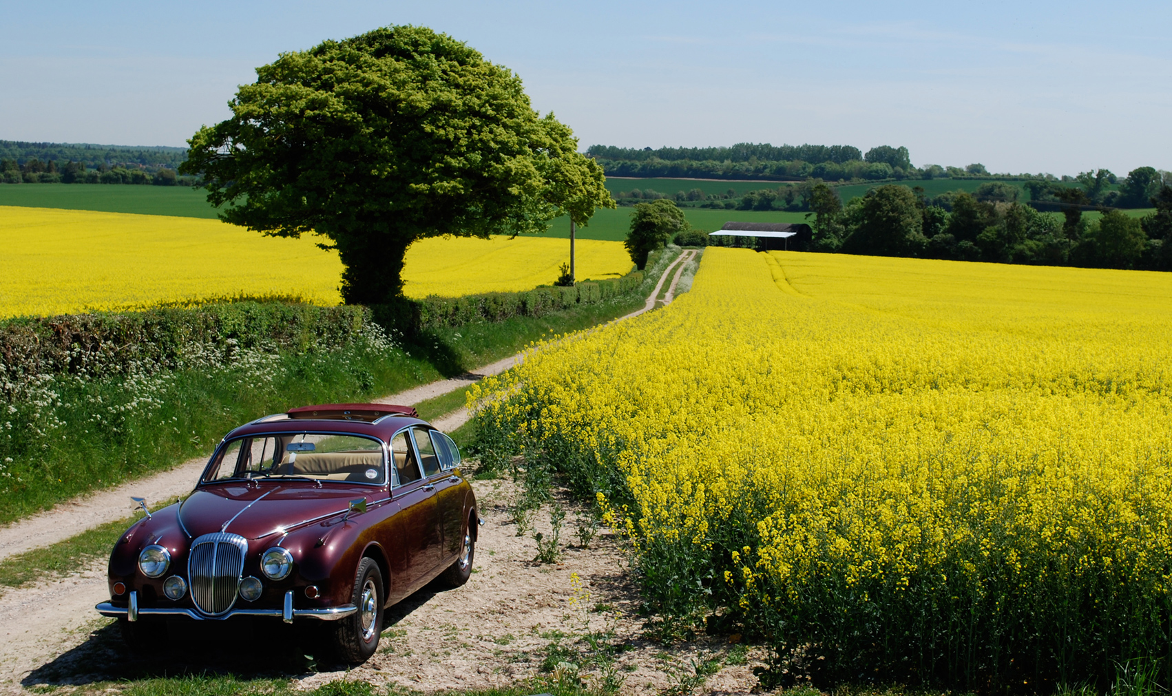 Take to the Road Daimler V8 250