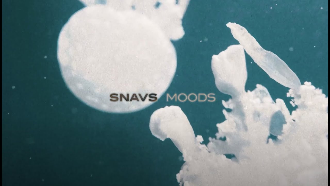 Snavs - Moods