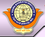 Vishva Bharti Institute, Sukma