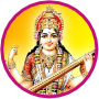 Meera Mahila B.Ed. College, Chittorgarh