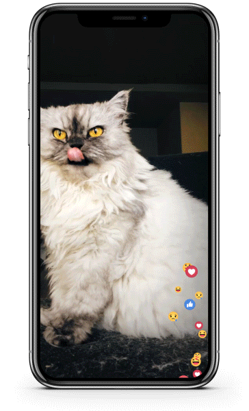 Facebook Live Emojis Builder - 2