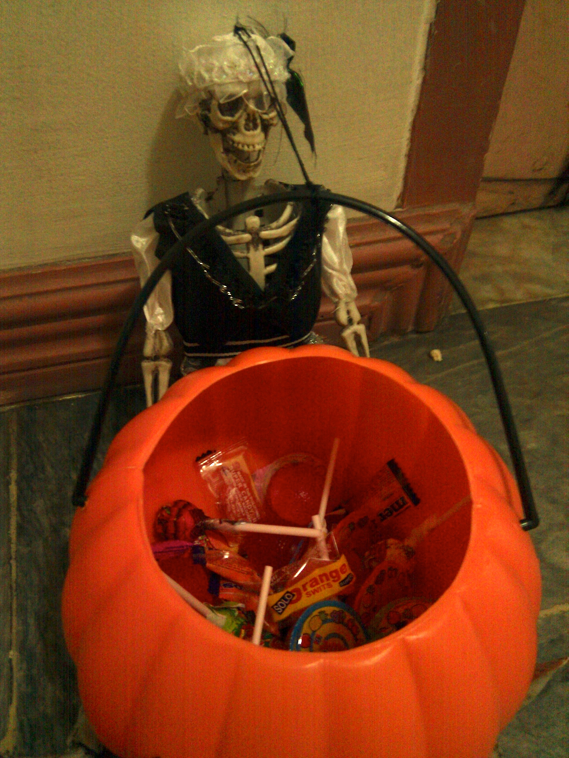 cover-image Skeleton with pumpkin basket