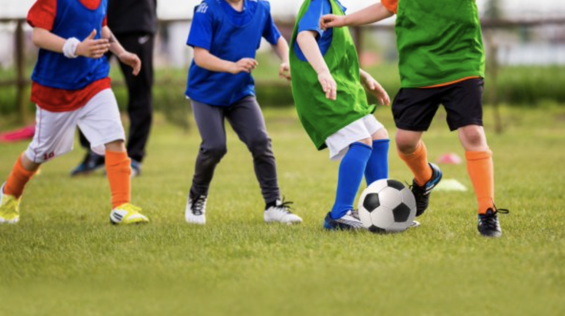 Categoría sub-11